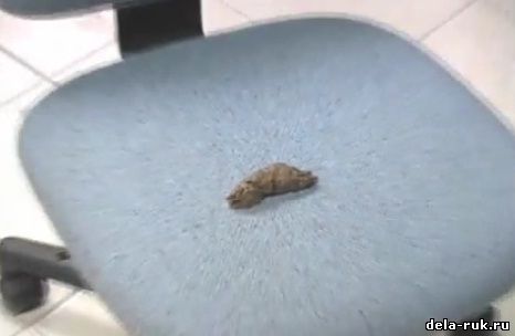Как сделать какашку видео
